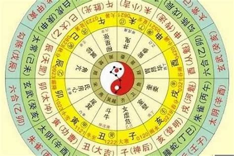 5月出生 五行|生辰八字五行查询